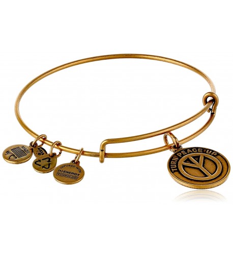 Alex Ani Rafaelian Gold Tone Expandable