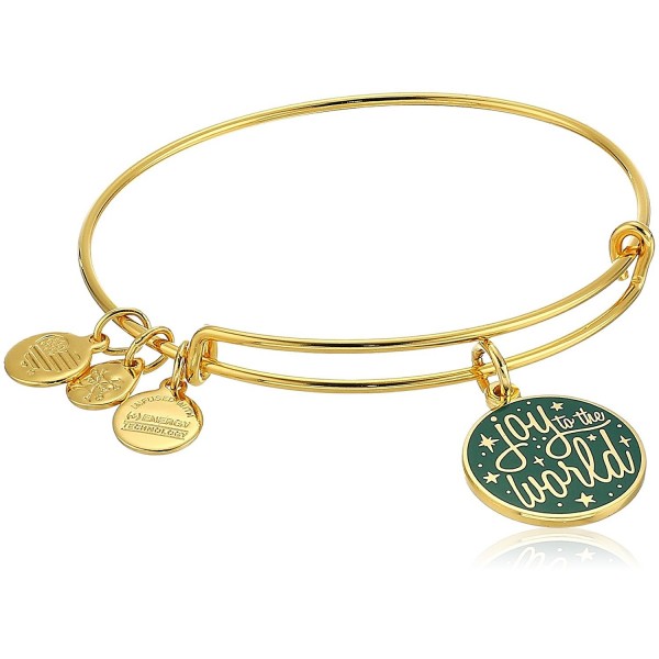 Alex Ani Powerful Bracelet Expandable