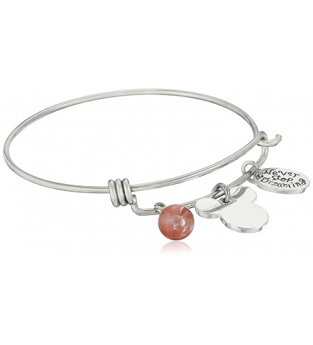 Disney Stainless Bangle Dreaming Bracelet