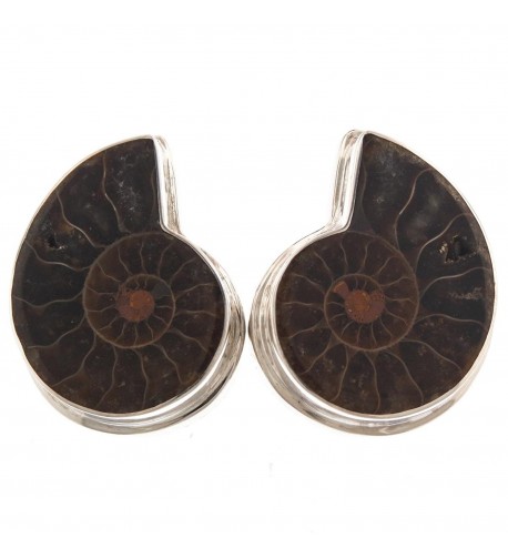 Sterling Natural Madagascar Ammonite Earrings