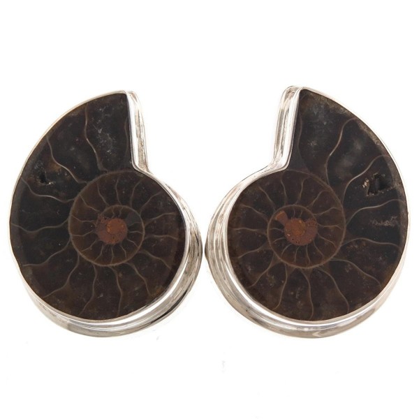 Sterling Natural Madagascar Ammonite Earrings