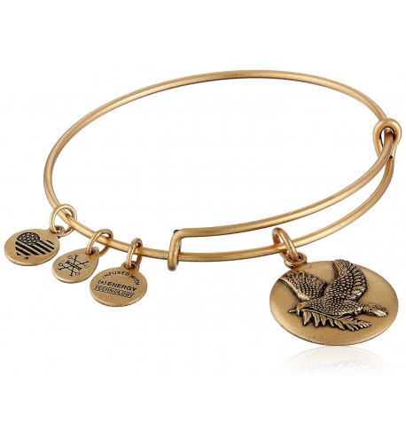 Alex Ani Expandable Rafaelian Bracelet