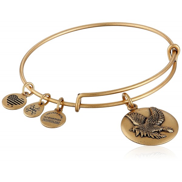 Alex Ani Expandable Rafaelian Bracelet