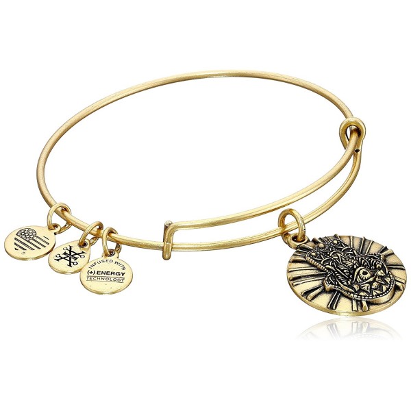 Alex Ani Expandable Rafaelian Gold Tone