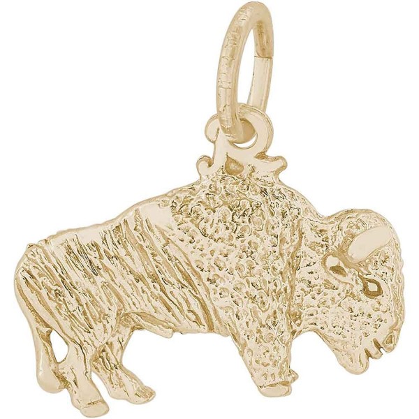 Rembrandt Charms Buffalo Plated Silver