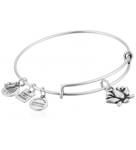 Alex Ani Charity Rafaelian Bracelet