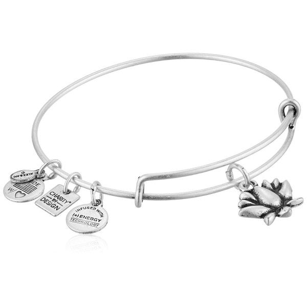 Alex Ani Charity Rafaelian Bracelet