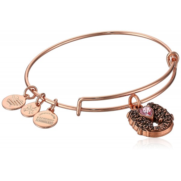 Alex Ani Fortunes Bracelet Expandable