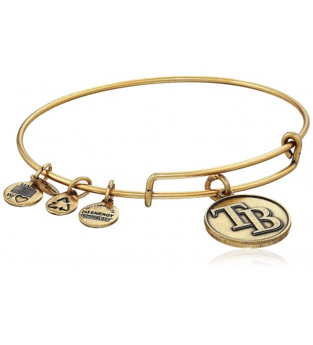 Alex Ani Expandable Rafaelian Bracelet