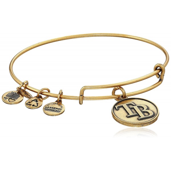 Alex Ani Expandable Rafaelian Bracelet