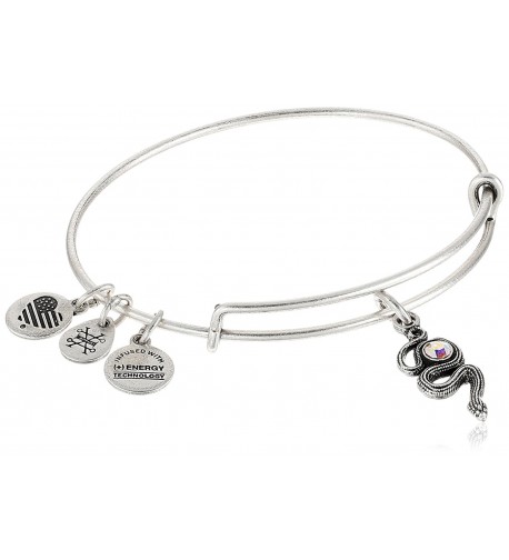 Alex Ani Symbols Expandable Bracelet