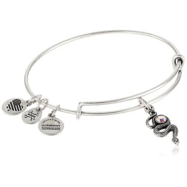 Alex Ani Symbols Expandable Bracelet