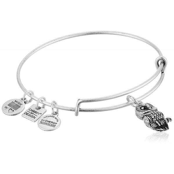 Alex Ani Charity Rafaelian Bracelet