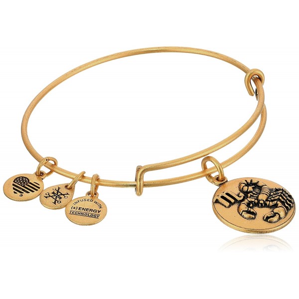 Alex Ani Scorpio Rafaelian Bracelet