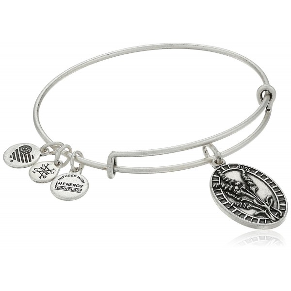 Alex Ani Rafaelian Silver Bracelet