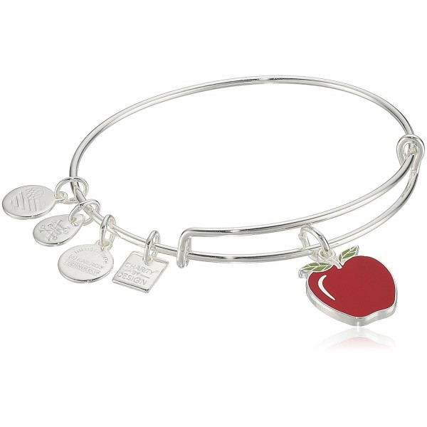 Alex Ani Charity Design Bracelet