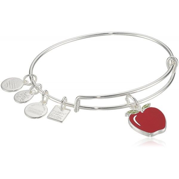 Alex Ani Charity Design Bracelet Alex Ani Charity Design Bracelet