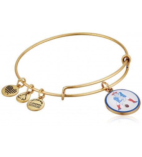 Alex Ani Expandable Rafaelian Bracelet