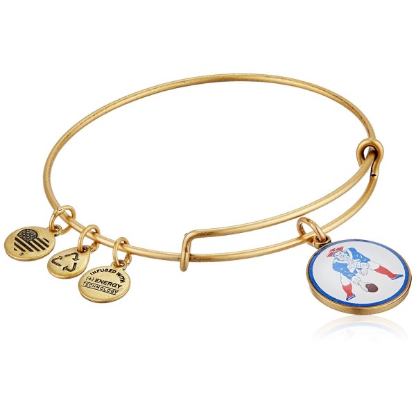 Alex Ani Expandable Rafaelian Bracelet